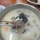 성공옹심이 칼국수