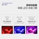 시즌테라피 이미지