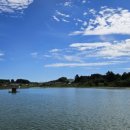 내곡낚시터 이미지