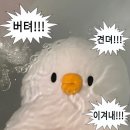 [HD]워드프로세서 필기 | 2025 워드프로세서 필기 합격 후기 (3일합격, 책 없이, 독학, 강의추천)