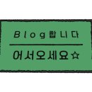 스테이 사선