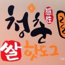 청춘쌀핫도그남녕점
