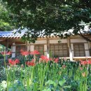 용진정사 이미지