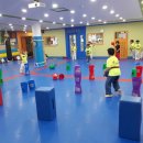 한국체대 호림태권도장 이미지