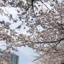 안흥유원지 이미지