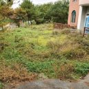 성은2소류지 이미지