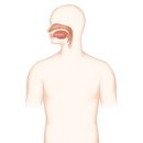 코골이 및 수면 무호흡 snoring, sleep apnea 이미지