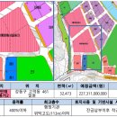 강일유통 네이버블로그
