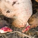 어중건내과의원 이미지