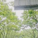 신정1동자치회관 이미지