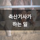 좋은가축인공수정소 네이버블로그
