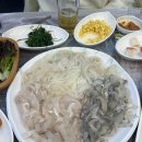 [포항맛집,죽도시장 맛집] 백성회식당 죽도시장횟집 도다리, 우럭, 오징어회 내돈내산 후기