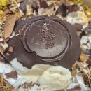 설빙이수점 | 설빙 이수점 내돈내산 두바이초콜릿빙수 잔망루피낭만초코설빙 인절미꿀호떡 배달 후기 맛평가