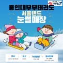 용인대 부부태권도장 이미지