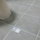 파라디아2차 이미지