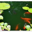 예촌민박 이미지