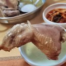 솔도토종닭