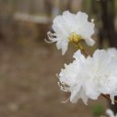 직업상담사 필기 - 직업상담학 이미지