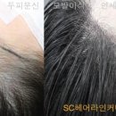 정헤어라인 - 26898 | 정헤어라인