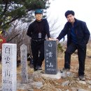정백사 Daum카페