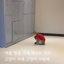 고양이사랑채