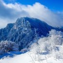 백두소프트 이미지