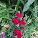 승희농장 이미지