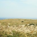 가을여행 이미지