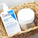 파우파우(PAW PAW) 이미지