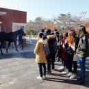 한국마사회 이미지