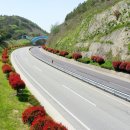 완도13호 뉴시스