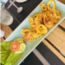 오덕목장 | 베나자 나트랑 판랑사막 투어 후기 (내돈내산, 모닝투어)