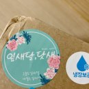 잎새달닷새