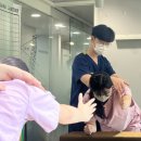 서울본정형외과의원 이미지