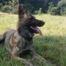 용골농장 이미지