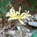 백운사 경내 이미지