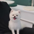 무브멍트 이미지