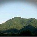 명산오리 이미지