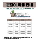 풀애 이미지