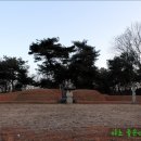 유여림선생묘 및 신도비 이미지