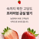 금실