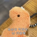 하은메디컬 | 5월 요약