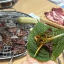 용고기뷔페 | 대구 동성로 무한리필 소고기집 ‘진원소우’ 고기뷔페 퀄리티 후기 꿀팁