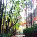 내서읍705 이미지