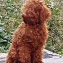 남창원동물병원 이미지