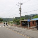 동서트레일 12구간 1부 대현1리마을회관-봉수지맥분기봉 : 백제부흥군길 봉수지맥의 봉황을 찾아서 이미지