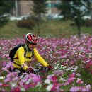 남한강 자전거도로 이미지