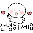 수안세차장 이미지
