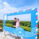 애나동물병원 | 냥줍 후기