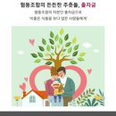 드림파이